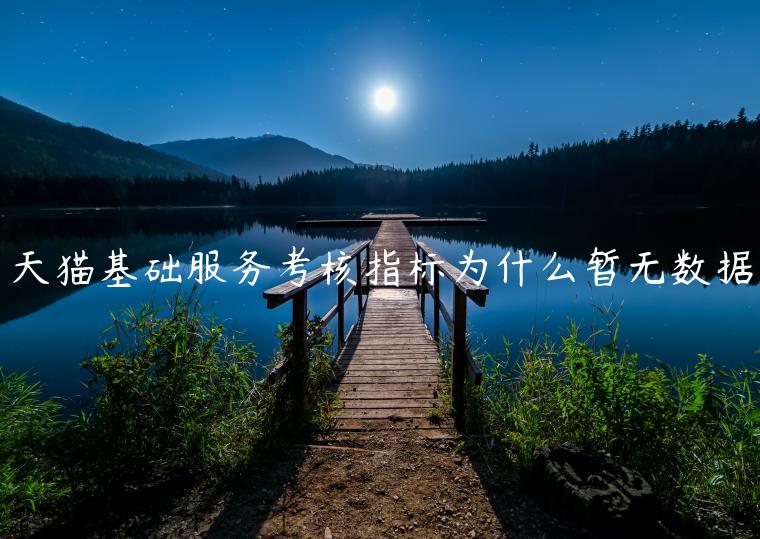 天貓基礎(chǔ)服務(wù)考核指標(biāo)為什么暫無(wú)數(shù)據(jù)